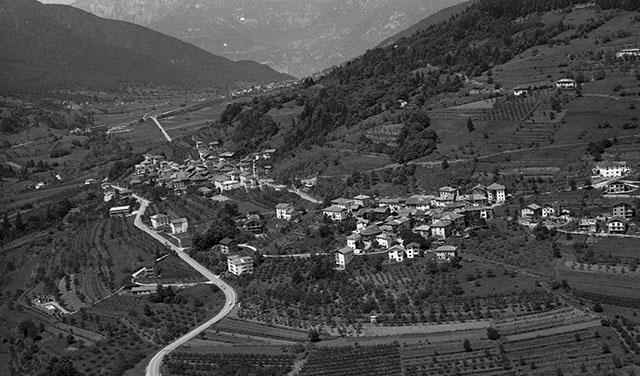Bosentino 1971