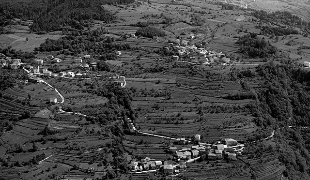 Barbaniga 1971