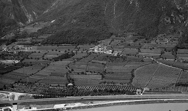 Belvedere 1971