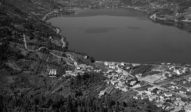 Calceranica 1971