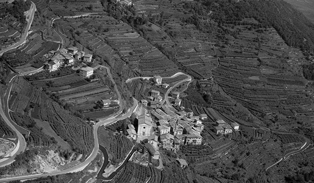 Cimone 1971