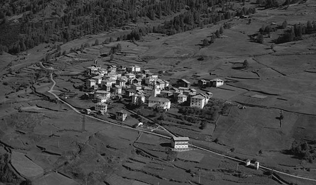 Celentino 1971