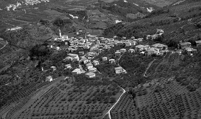 Dambel 1971