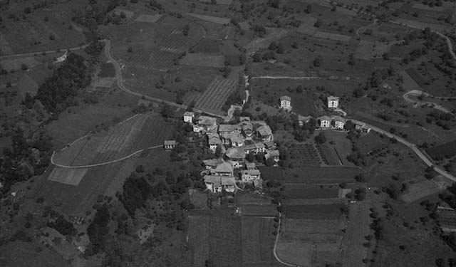 Madice 1971