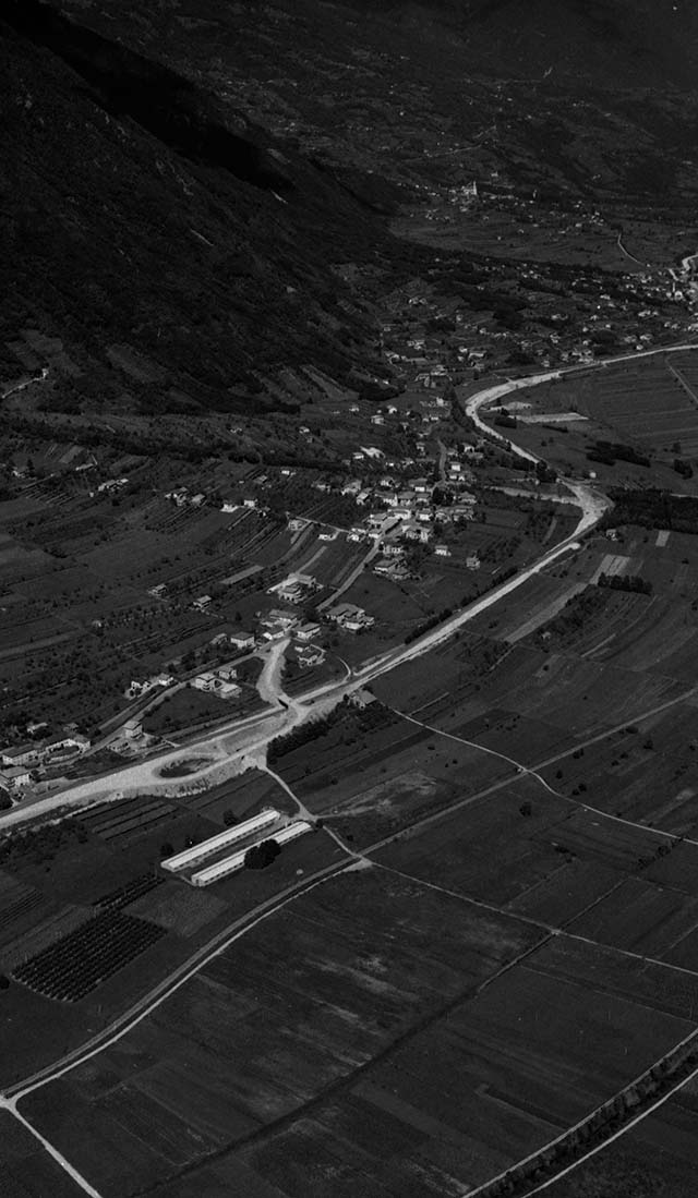 Novaledo 1971