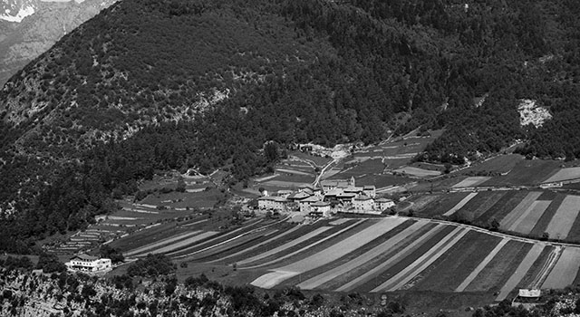 Ranzo 1971