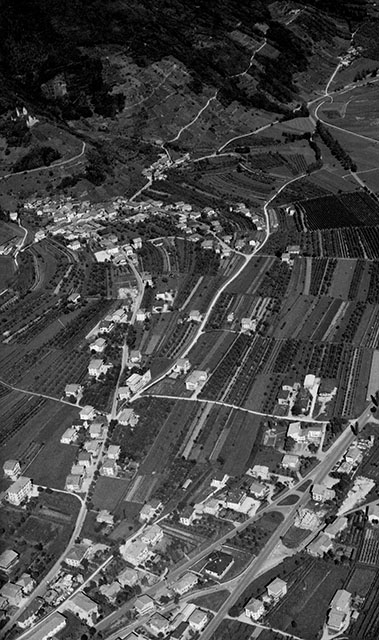 Selva 1971