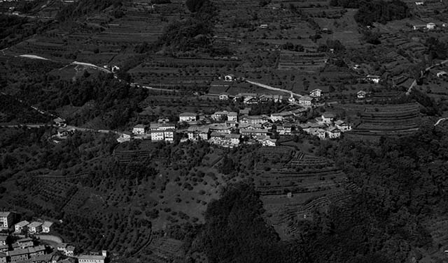 Tomaselli 1971