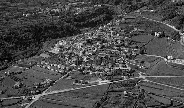 Telve 1971