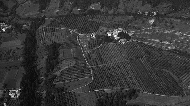 Tignerone 1971