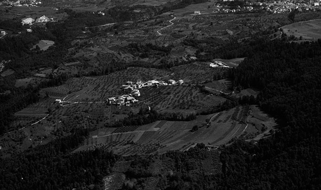 Vasio 1971