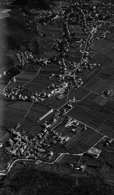 Vigne di Arco 1971
