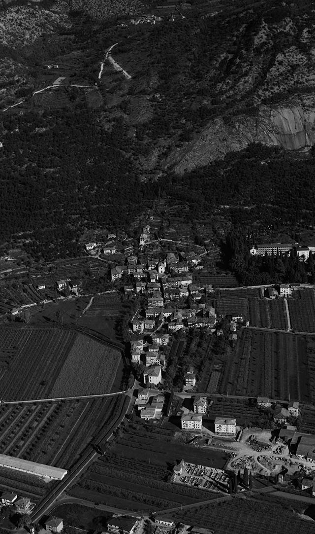 Vigne di Arco 1971