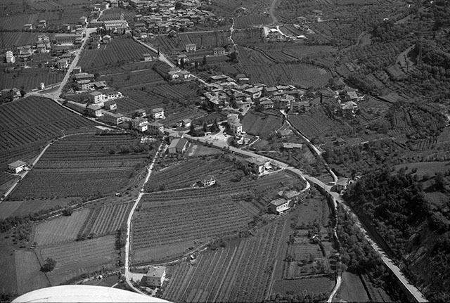 Vignole 1971